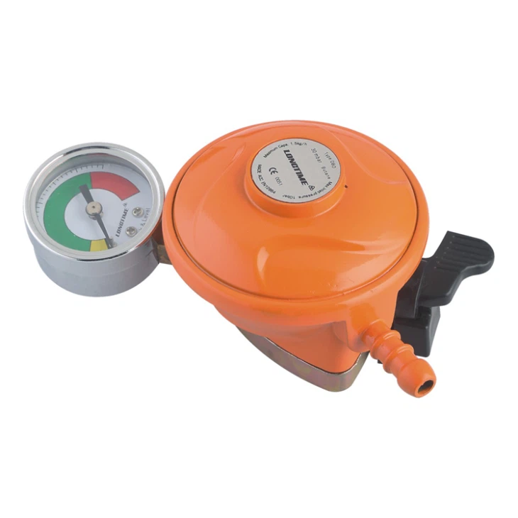 Gas Regulator with Meter 2